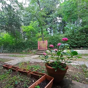 Il Gatto Nero Bed & Breakfast Serramazzoni